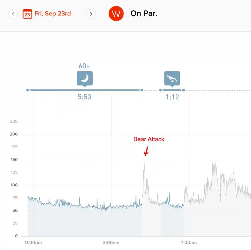 bear-attack-graph